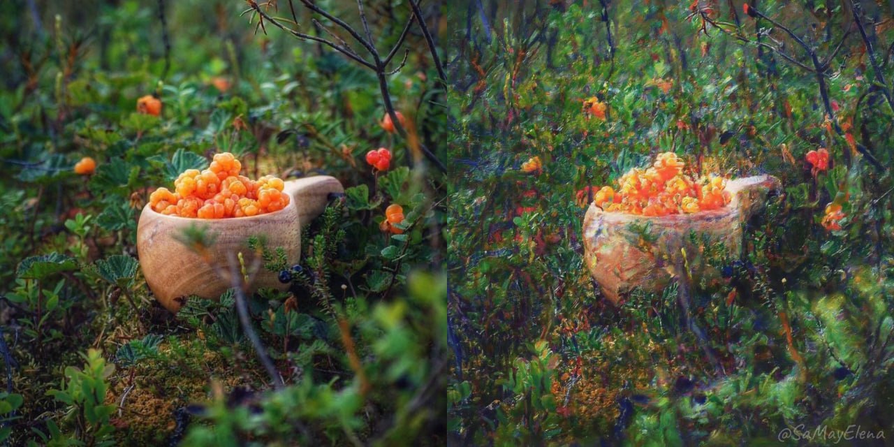 Style transfer - berries